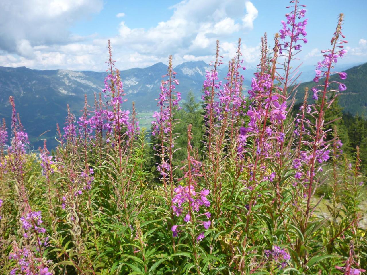 Ferienhaus Untergladner Schladming Εξωτερικό φωτογραφία